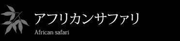 アフリカンサファリ